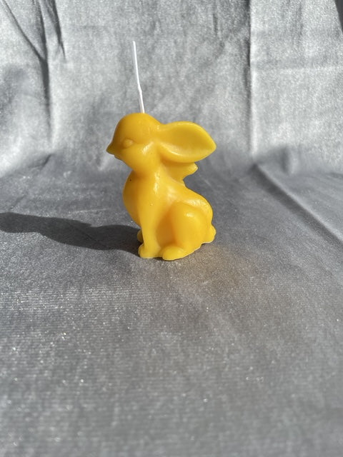 Hase