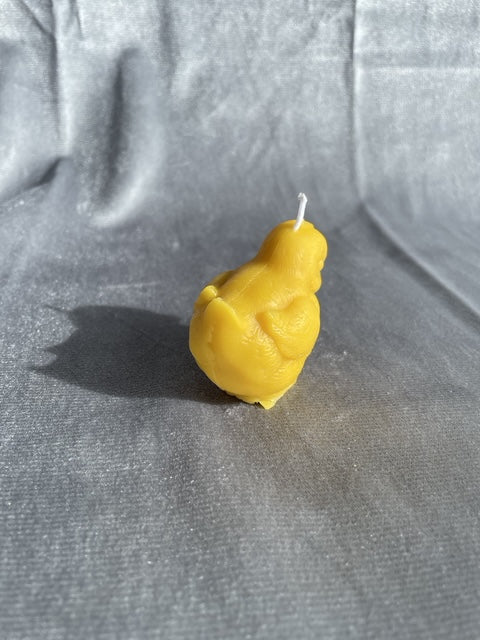 Küken